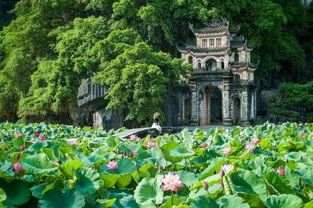 Option 5: Bich Dong - Farmer House - Trang An